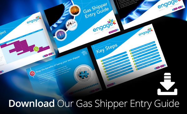 Download our Gas Shipper Entry Guide now.