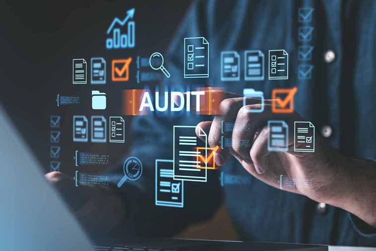 Audit and Assurance Services